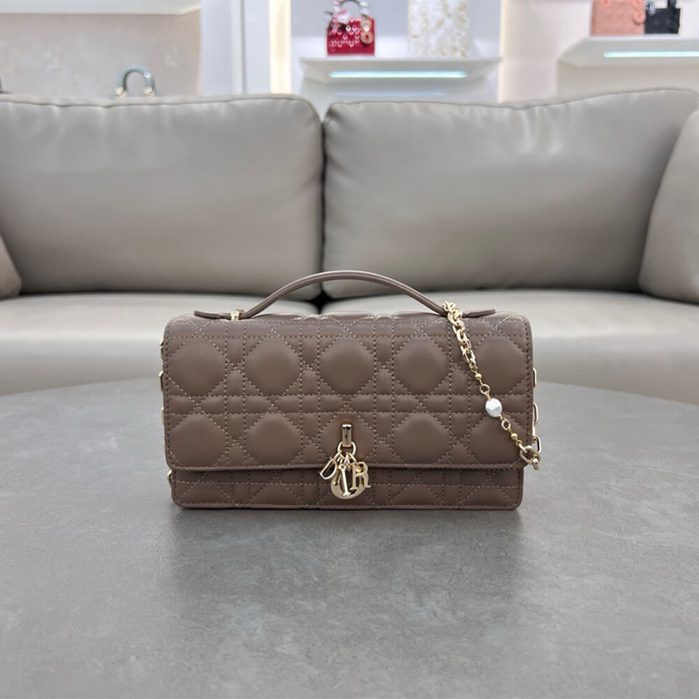 Dior Mini Bag