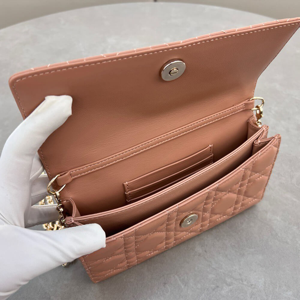 Dior Mini Bag