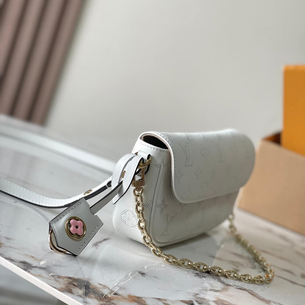 LV WALLET ON CHAIN IVY BAG